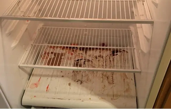 house washing near me